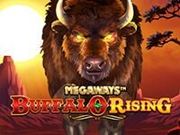 Buffalo Rising Megaways