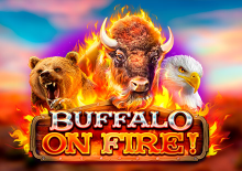 Buffalo on Fire!