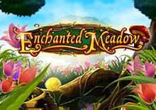 Enchanted Meadow