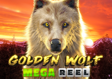 Golden Wolf