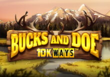 Bucks and Doe 10K Ways