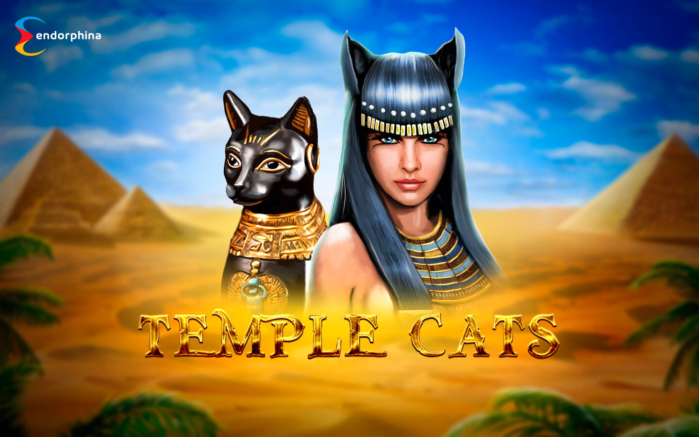 Temple Cats