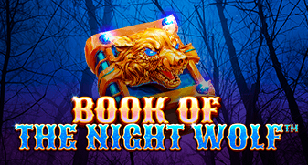 Book of The Night Wolf