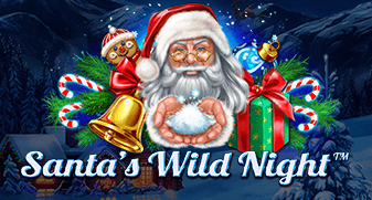 Santa’s Wild Night