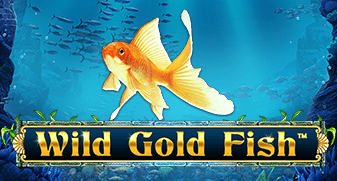 Wild Gold Fish