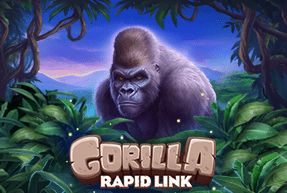 Gorilla Rapid Link