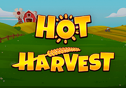 Hot Harvest