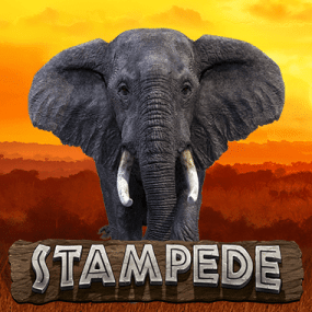 Stampede