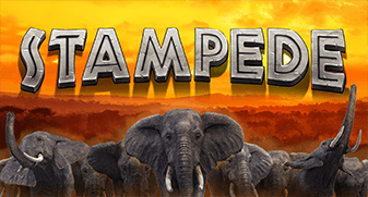Stampede