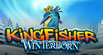 Kingfisher Winterborn