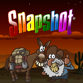 Snapshot