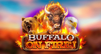 Buffalo on Fire!
