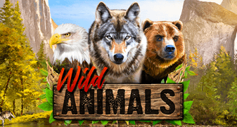 Wild Animals