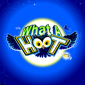 What A Hoot