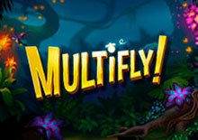 MULTIFLY!