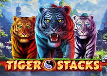 Tiger Stacks