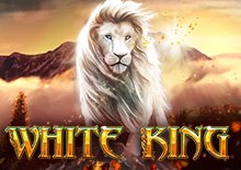 White King