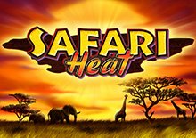 Safari Heat