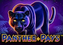 Panther Pays