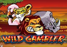 Wild Gambler