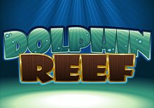 Dolphin Reef