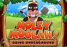 MOLEY MOOLAH