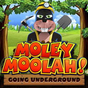 MOLEY MOOLAH