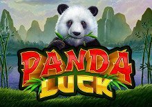 Panda Luck