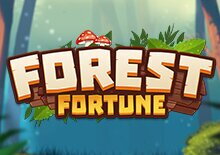 Forest Fortune