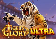 Tiger’s Glory Ultra