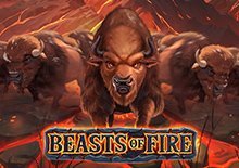 Beasts of Fire