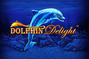 Dolphin Delight