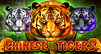 Chinese Tigers