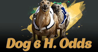 Dog 6 H. Odds