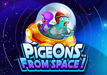 Pigeons From Space!