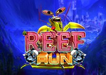 REEF RUN