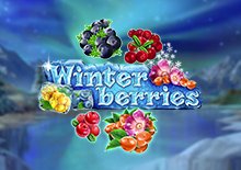 WINTERBERRIES